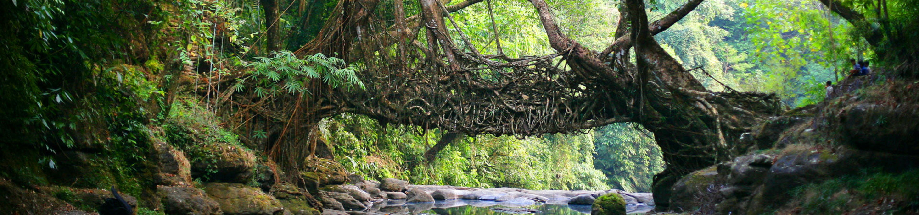 Wildlife and Nature banner 3