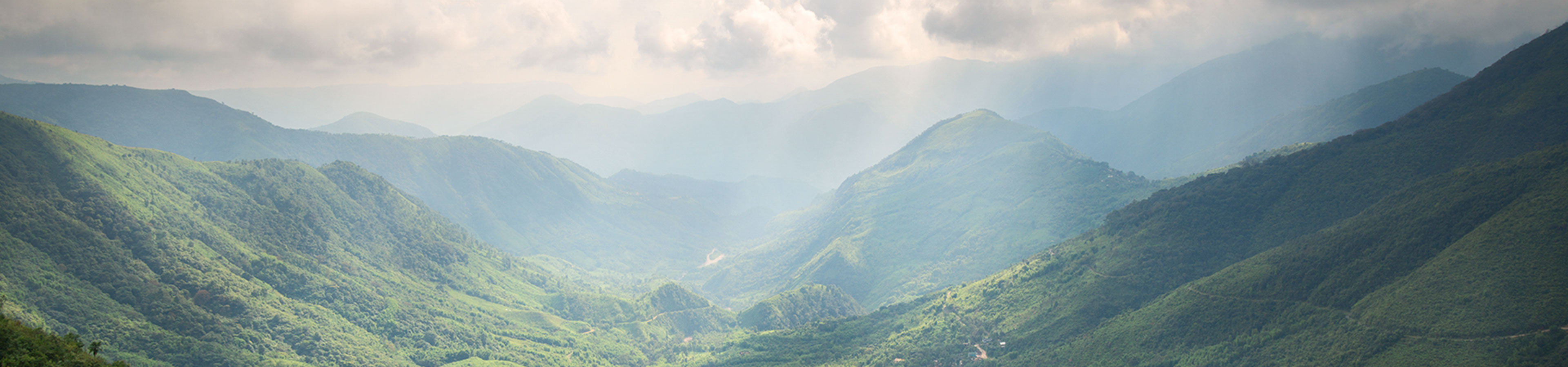 Hills & Wildlife Wonders banner 2