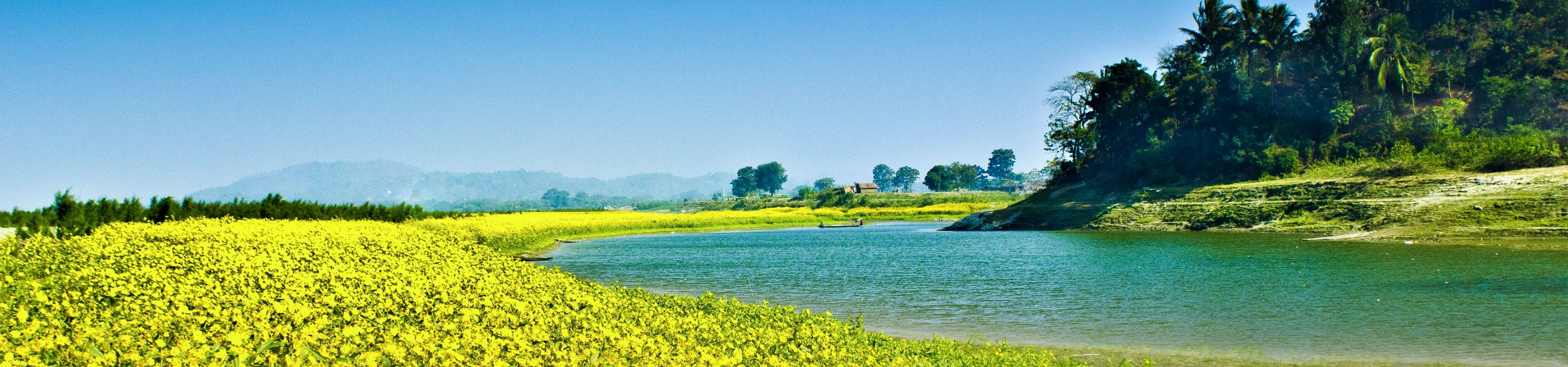 Assam Exclusive banner 3